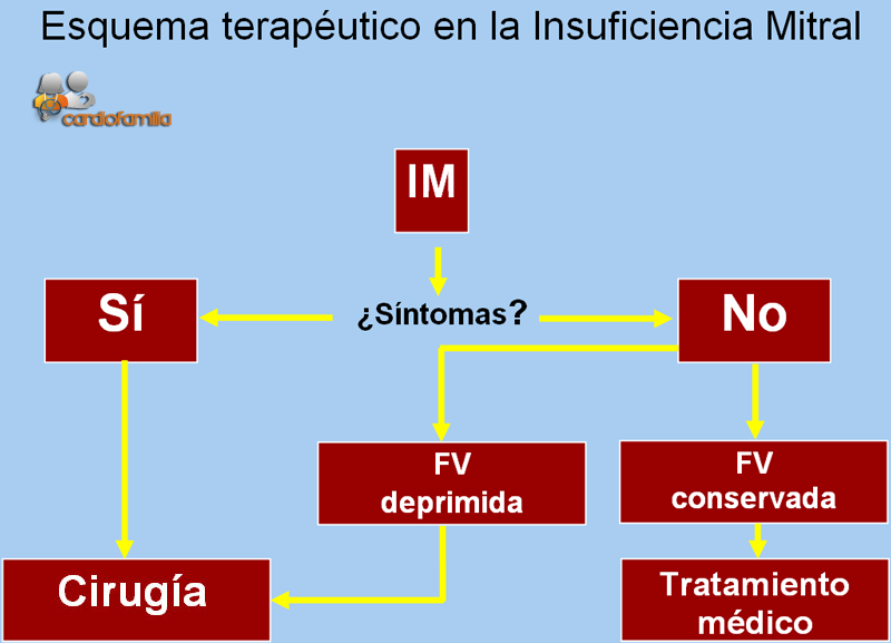 insuficiencia_mitral_cardiofamilia