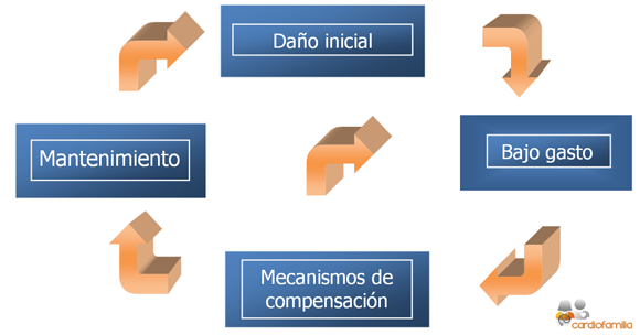 Evolución del proceso de la insuficiencia cardiaca Mecanismos_fisiopatologicos_insuficiencia_cardiaca_www.cardiofamilia.org_x580